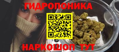 Альфа ПВП Новодвинск