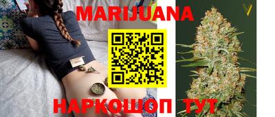 Альфа ПВП Новодвинск