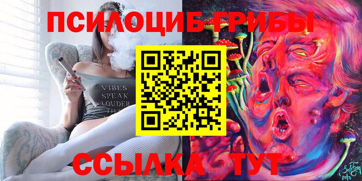 Псилоцибиновые грибы мицелий Светлоград