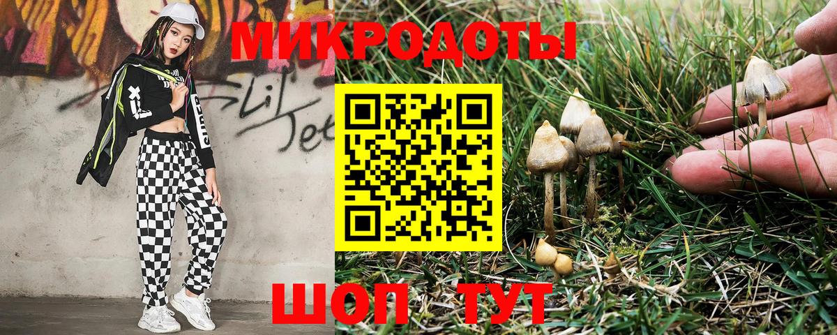 Светлоград  Галлюциногенные грибы MAGIC MUSHROOMS  Вход с VPN  Псилоцибиновые грибы мицелий 